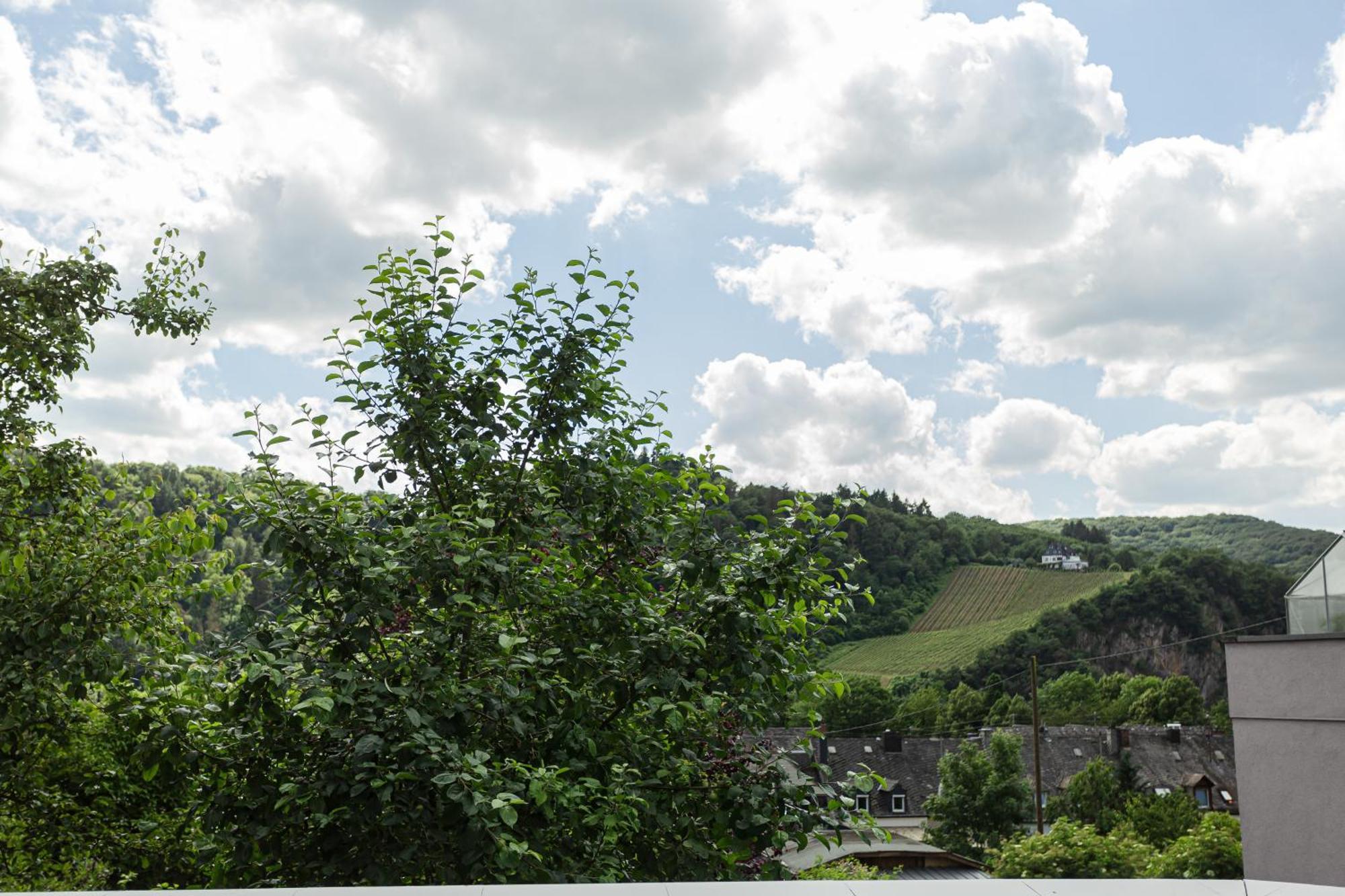 Luxusferienwohnung Moselruhe Bullay Mit Grosser Terrasse Und Schoenem Ausblick Экстерьер фото